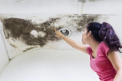 Understanding and Preventing Mold Growth: The New Normal of Home Maintenance