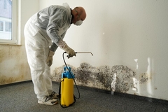 Understanding Mold Remediation Standards: Ensuring Safety and Compliance