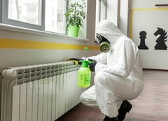 The Rise of Mold Prevention Technologies: Keeping Homes and Businesses Mold-Free