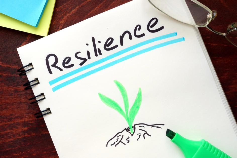 Building Resilience: Preparing Homes and Businesses for Potential Water, Fire, and Mold Threats