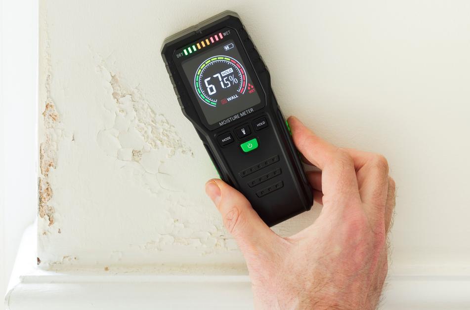 Mastering Moisture Control: An In-depth Guide for Preventing Mold Growth