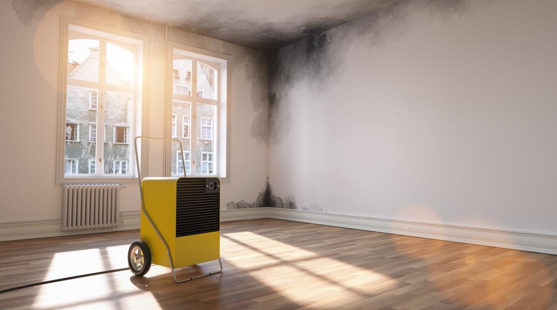 Top 7 Essential Tools for Efficient Water, Fire, and Mold Damage Restoration