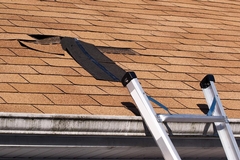 Overcoming Common Roofing Challenges: Expert Solutions and Best Practices