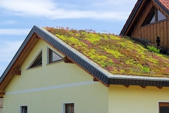 Innovative Roofing Designs: How New Styles Can Enhance Curb Appeal and Home Value