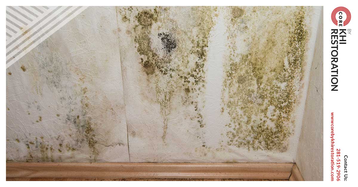 Mold Mitigation in Katy, TX