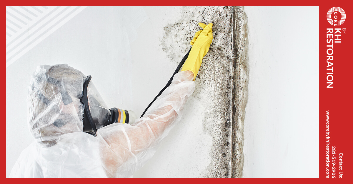 Mold Removal in Tomball, TX