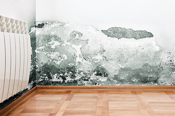Mold Damage Restoration in Humble, TX