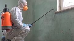 Eco-Friendly Practices in Mold Remediation: Reducing Waste and Improving Efficiency