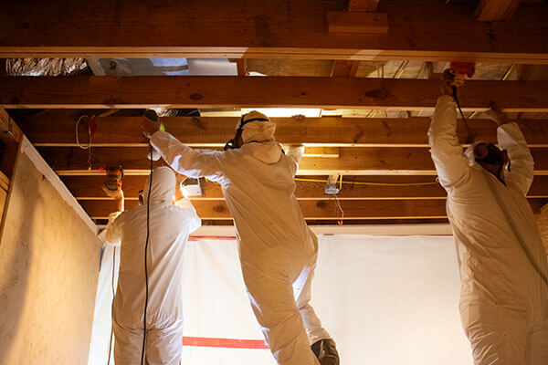 Mold Remediation