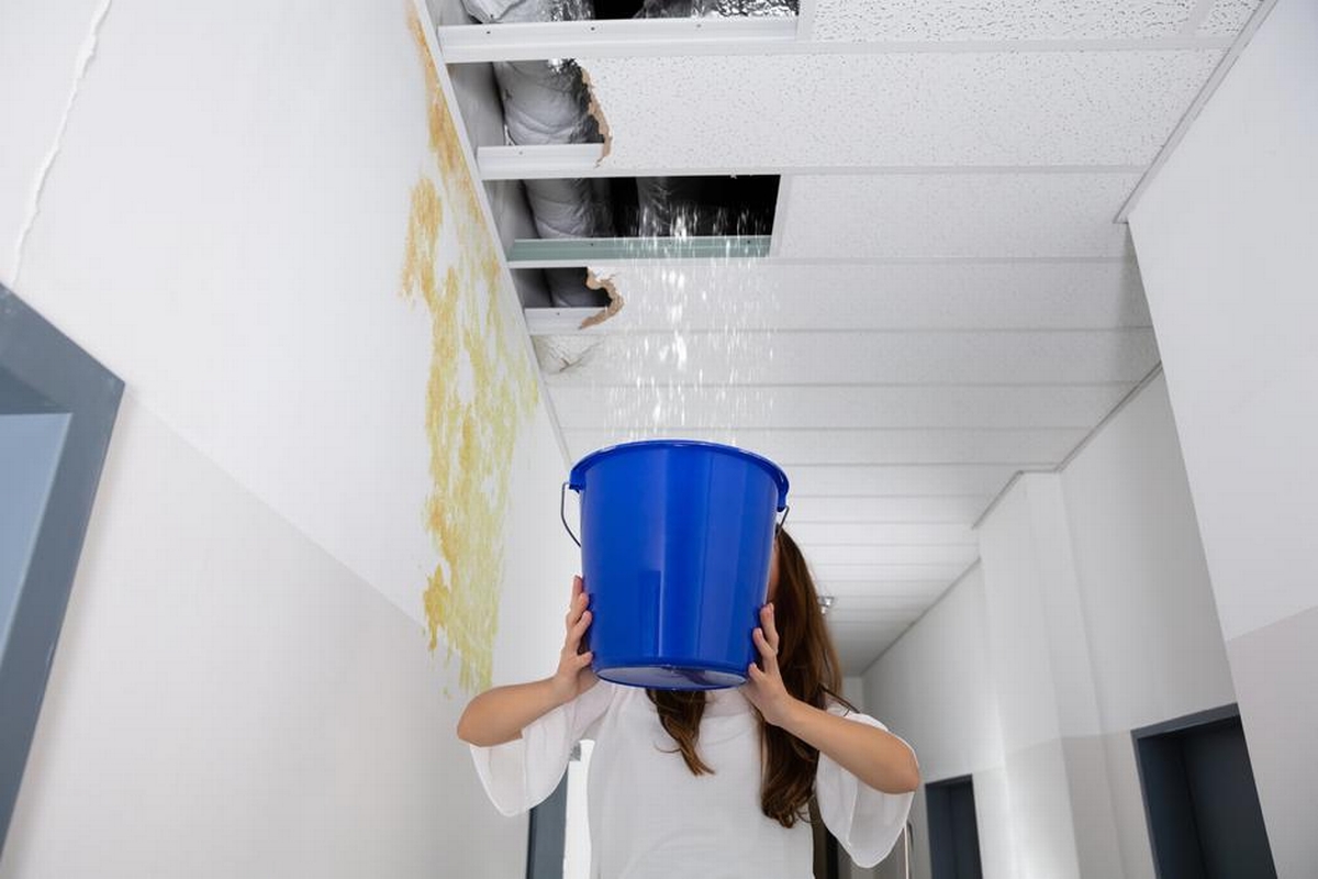 Water Damage Restoration: DIY vs. Professional Services