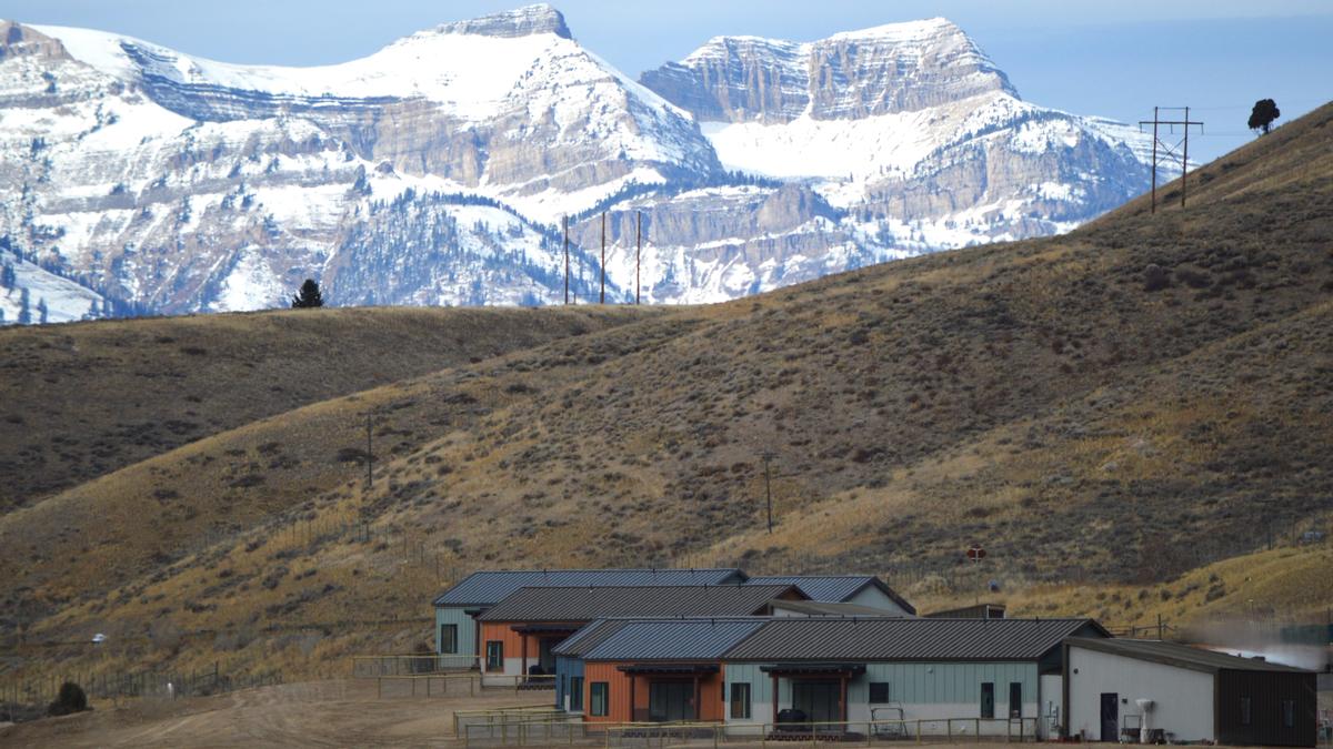 Wyoming Game and Fish Department Case Study Featured Image