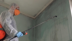 Preventative vs. Reactive: Which Approach to Mold Damage Is Best for Your Home?