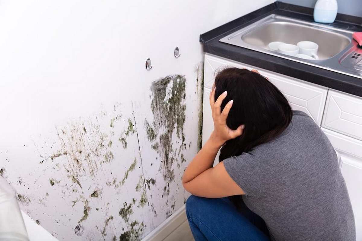 Innovative Mold Remediation Strategies: Preventing Recurrence