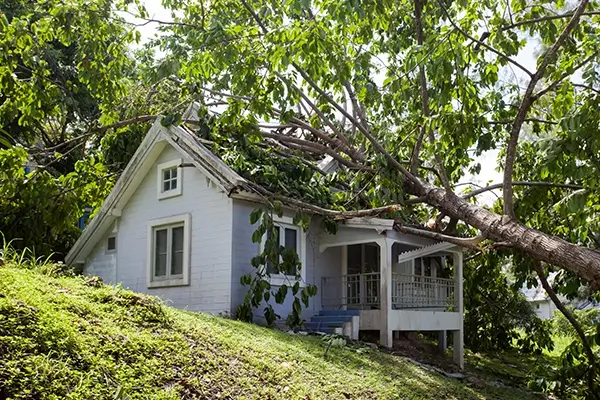 Storm Damage Restoration