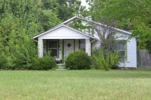 roof maintenance tip: perform routine landscaping to prevent roof or shingle damage | TruHome Inc services Monroe, WI and Tristate area 