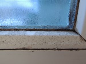 help extend the window life by keeping windows clean of mold and mildew | TruHome Inc services Monroe, WI and Tristate area 