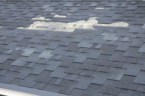 roof maintenance: check roof for missing or damaged shingles | TruHome Inc services Monroe, WI and Tristate area 